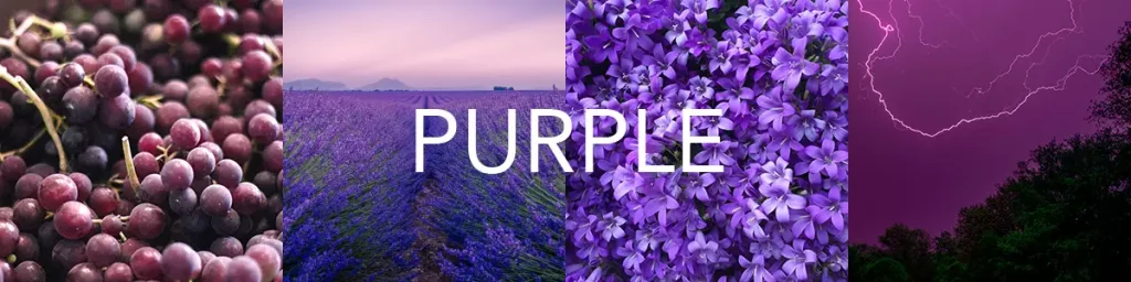 紫色のイメージ